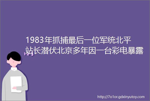 1983年抓捕最后一位军统北平站长潜伏北京多年因一台彩电暴露